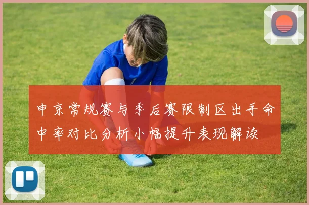 申京常规赛与季后赛限制区出手命中率对比分析小幅提升表现解读