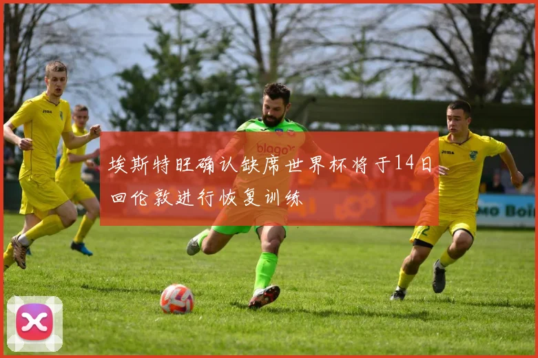 埃斯特旺确认缺席世界杯将于14日回伦敦进行恢复训练