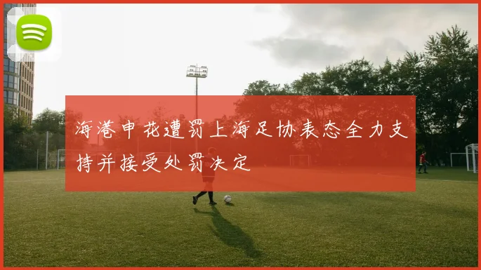 海港申花遭罚上海足协表态全力支持并接受处罚决定