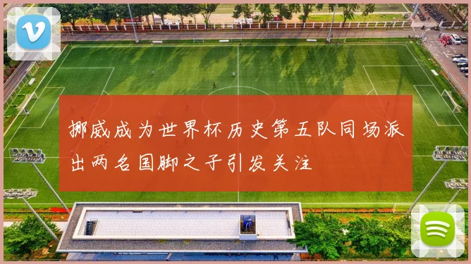 挪威成为世界杯历史第五队同场派出两名国脚之子引发关注