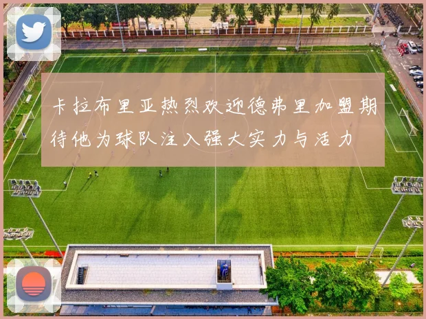 卡拉布里亚热烈欢迎德弗里加盟期待他为球队注入强大实力与活力